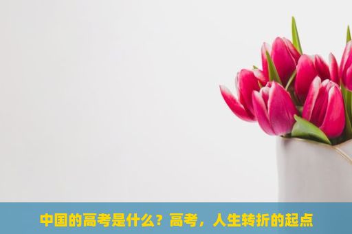 中国的高考是什么？高考，人生转折的起点