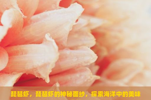 琵琶虾，琵琶虾的神秘面纱，探索海洋中的美味佳肴