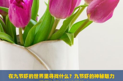 在九节虾的世界里寻找什么？九节虾的神秘魅力，探索海洋中的珍馐美味