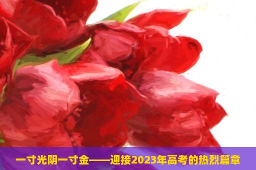 一寸光阴一寸金——迎接2023年高考的热烈篇章