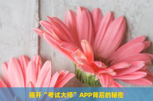 揭开“考试大师”APP背后的秘密