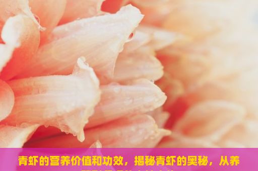 青虾的营养价值和功效，揭秘青虾的奥秘，从养殖到餐桌的奇妙之旅