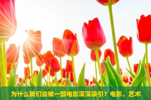 为什么我们会被一部电影深深吸引？电影，艺术与技术的完美结合