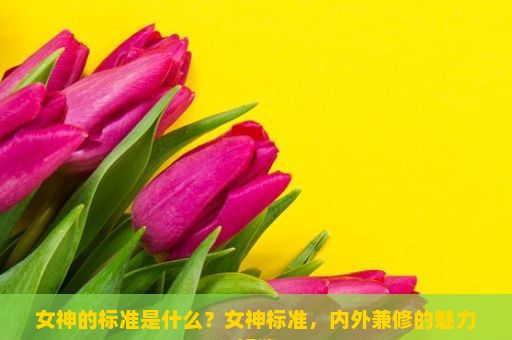 女神的标准是什么？女神标准，内外兼修的魅力解读