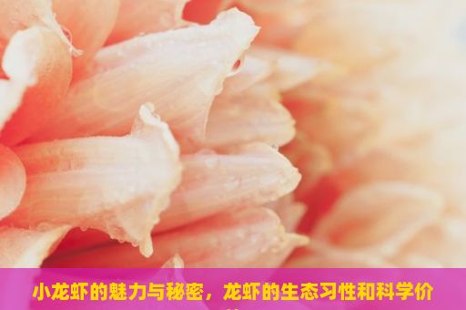 小龙虾的魅力与秘密，龙虾的生态习性和科学价值