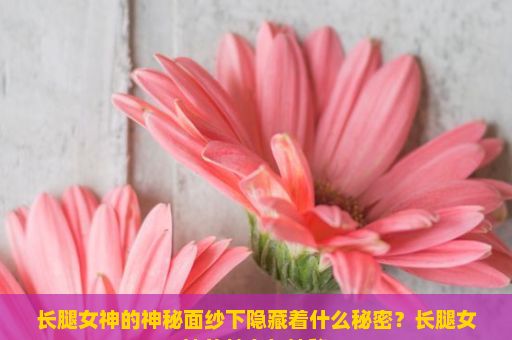 长腿女神的神秘面纱下隐藏着什么秘密？长腿女神的魅力与神秘