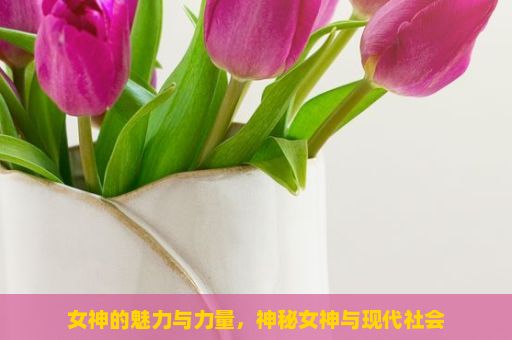 女神的魅力与力量，神秘女神与现代社会