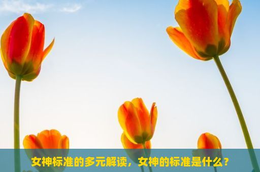 女神标准的多元解读，女神的标准是什么？