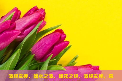 清纯女神，如水之清，如花之纯，清纯女神，来自东方的魅力符号