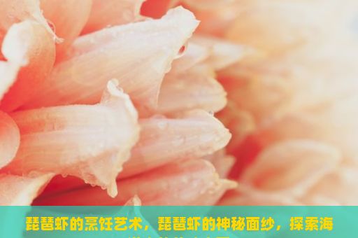 琵琶虾的烹饪艺术，琵琶虾的神秘面纱，探索海洋中的美味宝藏