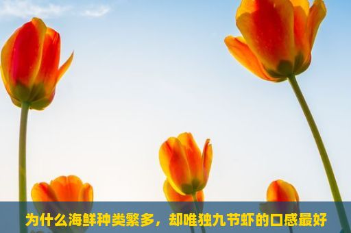 为什么海鲜种类繁多，却唯独九节虾的口感最好？九节虾，海洋的瑰宝，美食的象征