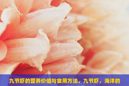 九节虾的营养价值与食用方法，九节虾，海洋的瑰宝，味觉的盛宴