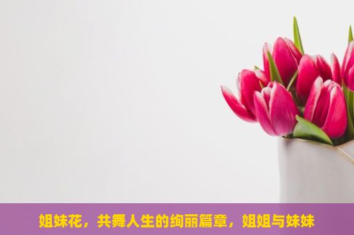 姐妹花，共舞人生的绚丽篇章，姐姐与妹妹