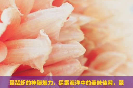 琵琶虾的神秘魅力，探索海洋中的美味佳肴，琵琶虾，一道美食背后的鲜美与故事