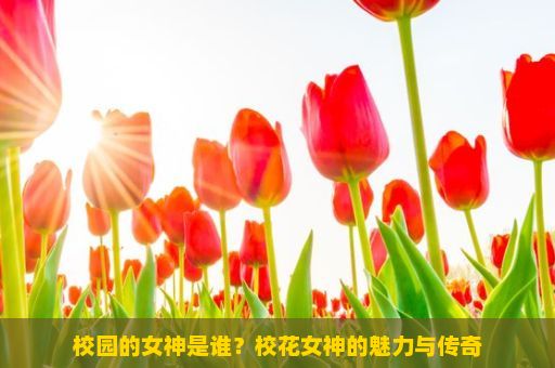 校园的女神是谁？校花女神的魅力与传奇