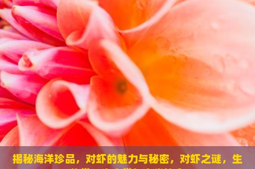 揭秘海洋珍品，对虾的魅力与秘密，对虾之谜，生物学、生态学与人类饮食