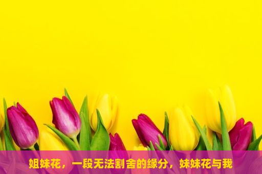 姐妹花，一段无法割舍的缘分，妹妹花与我