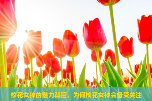 校花女神的魅力背后，为何校花女神会备受关注？