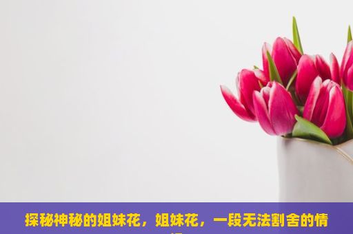 探秘神秘的姐妹花，姐妹花，一段无法割舍的情缘