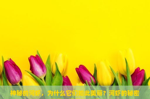 神秘的河虾，为什么它们如此美丽？河虾的秘密世界，探索与发现