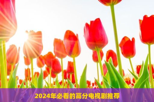 2024年必看的高分电视剧推荐