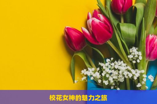 校花女神的魅力之旅