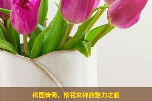 校园传奇，校花女神的魅力之旅