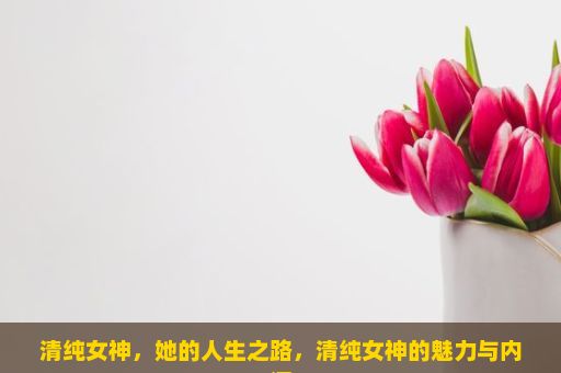 清纯女神，她的人生之路，清纯女神的魅力与内涵