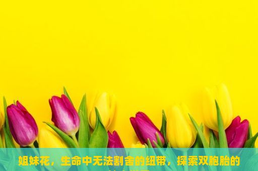 姐妹花，生命中无法割舍的纽带，探索双胞胎的神奇世界