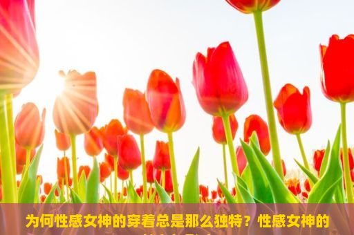 为何性感女神的穿着总是那么独特？性感女神的魅力与影响