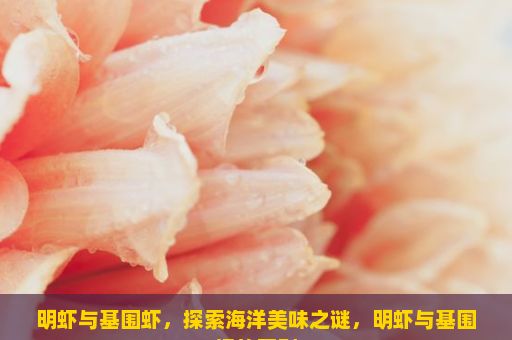 明虾与基围虾，探索海洋美味之谜，明虾与基围虾的区别
