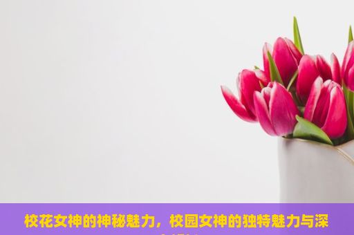 校花女神的神秘魅力，校园女神的独特魅力与深度解析