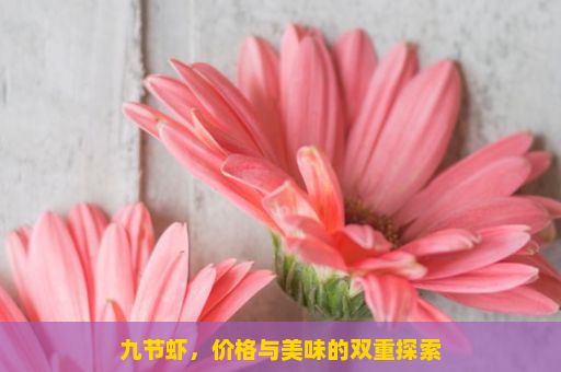 九节虾，价格与美味的双重探索