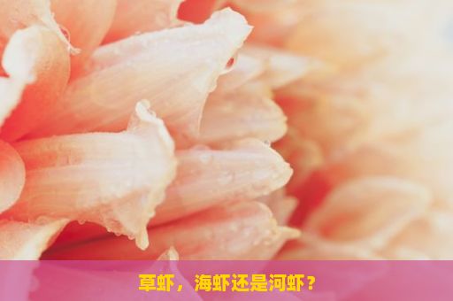 草虾，海虾还是河虾？