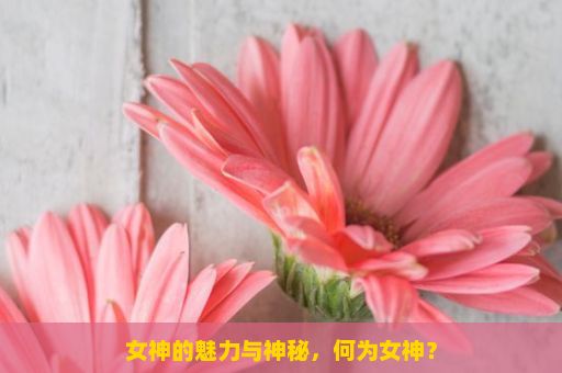 女神的魅力与神秘，何为女神？