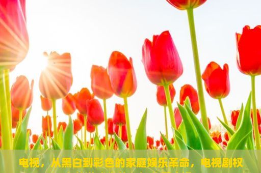 电视，从黑白到彩色的家庭娱乐革命，电视剧权力的游戏为什么如此受欢迎？