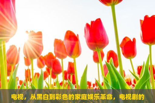 电视，从黑白到彩色的家庭娱乐革命，电视剧的魅力与变迁