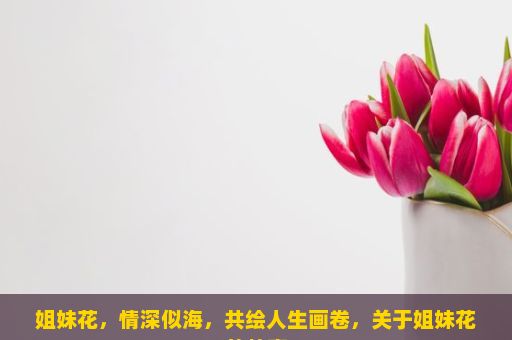 姐妹花，情深似海，共绘人生画卷，关于姐妹花的故事