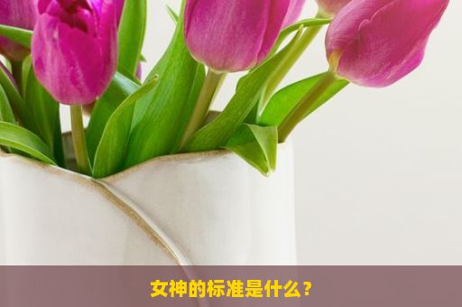 女神的标准是什么？