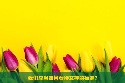 我们应当如何看待女神的标准？