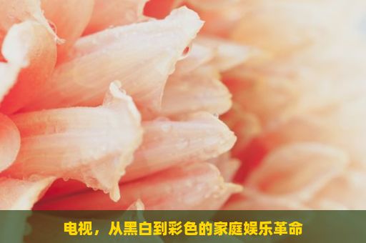 电视，从黑白到彩色的家庭娱乐革命