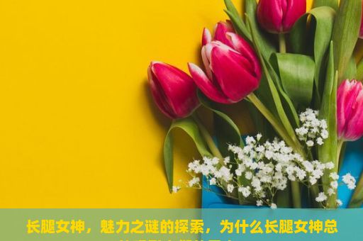 长腿女神，魅力之谜的探索，为什么长腿女神总能吸引人们的目光？