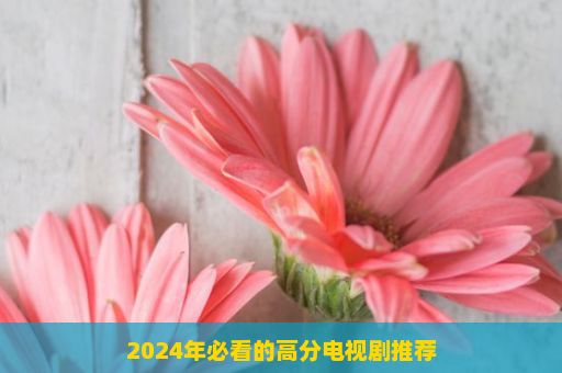 2024年必看的高分电视剧推荐