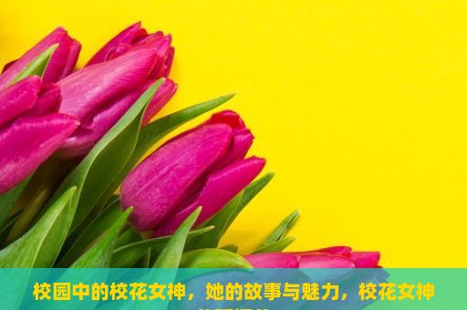 校园中的校花女神，她的故事与魅力，校花女神的瞬间美