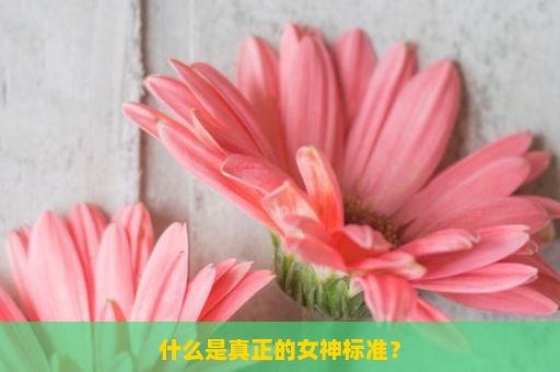 什么是真正的女神标准？