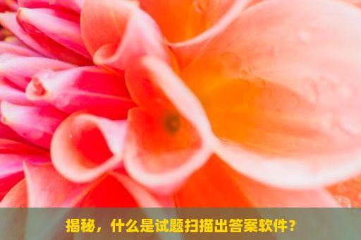 揭秘，什么是试题扫描出答案软件？