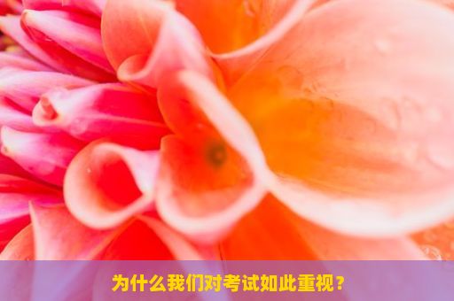 为什么我们对考试如此重视？