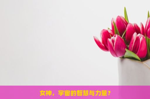 女神，宇宙的智慧与力量？