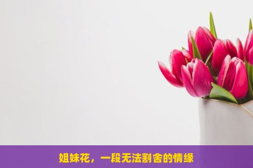 姐妹花，一段无法割舍的情缘