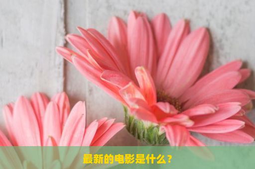 最新的电影是什么？